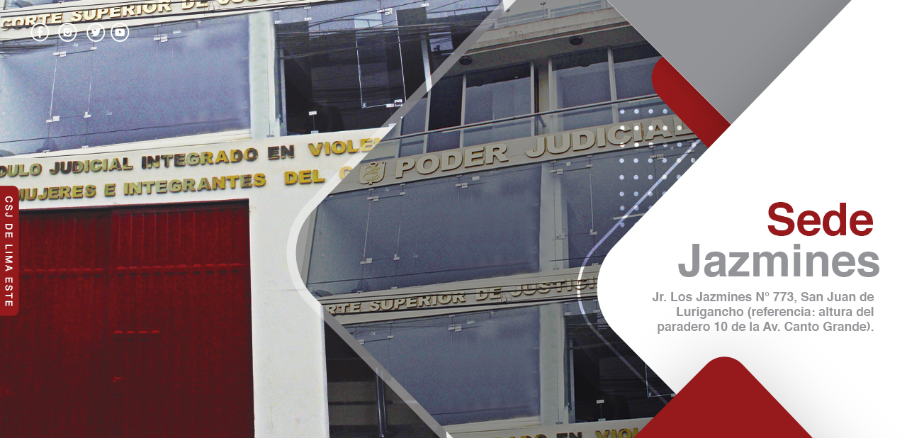 Módulo Especializado en Violencia contra las Mujeres e Integrantes del Grupo Familiar  (SEDE JAZMINES)